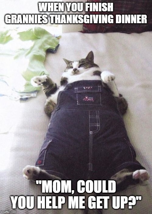 Fat Cat Meme |  WHEN YOU FINISH GRANNIES THANKSGIVING DINNER; "MOM, COULD YOU HELP ME GET UP?" | image tagged in memes,fat cat | made w/ Imgflip meme maker