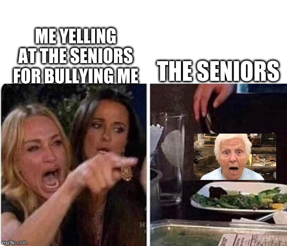 revenge | ME YELLING AT THE SENIORS FOR BULLYING ME; THE SENIORS | image tagged in lady screams at cat | made w/ Imgflip meme maker