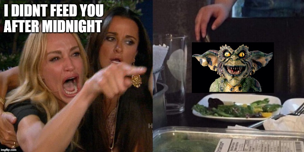 Woman yelling at cat | I DIDNT FEED YOU 
AFTER MIDNIGHT | image tagged in woman yelling at cat,gremlins | made w/ Imgflip meme maker