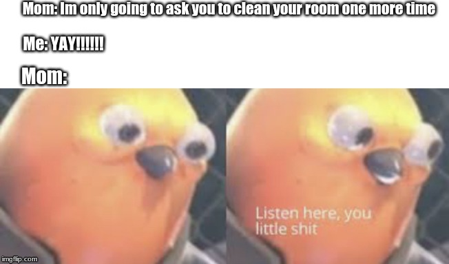Listen here you little shit bird | Mom: Im only going to ask you to clean your room one more time; Me: YAY!!!!!! Mom: | image tagged in listen here you little shit bird | made w/ Imgflip meme maker