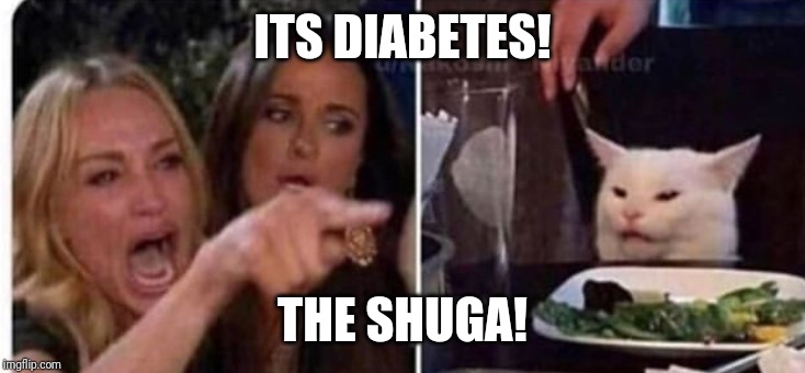 Cat at table |  ITS DIABETES! THE SHUGA! | image tagged in cat at table | made w/ Imgflip meme maker