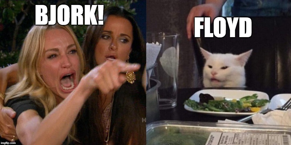 Woman yelling at cat | BJORK! FLOYD | image tagged in woman yelling at cat | made w/ Imgflip meme maker