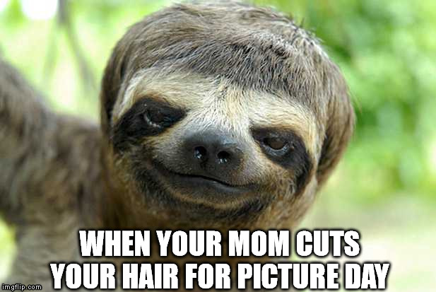 "Awww, you look so handsome!" | WHEN YOUR MOM CUTS YOUR HAIR FOR PICTURE DAY | image tagged in sloth,bowl cut,picture day | made w/ Imgflip meme maker