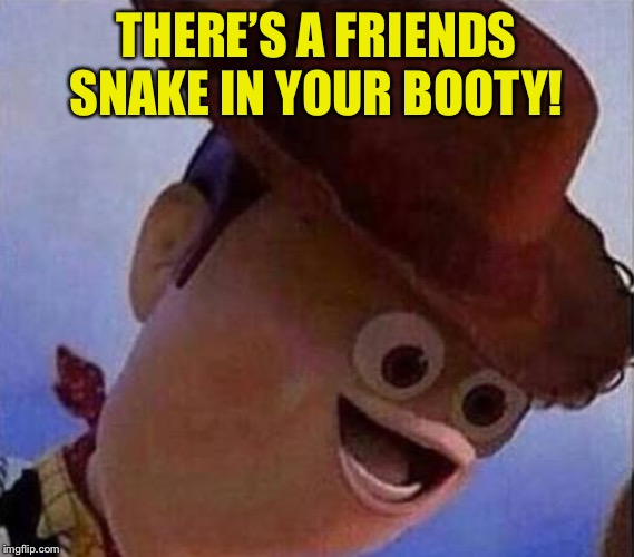 Derp Woody | THERE’S A FRIENDS SNAKE IN YOUR BOOTY! | image tagged in derp woody | made w/ Imgflip meme maker