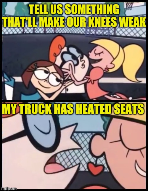 Say it Again, Dexter Meme | TELL US SOMETHING THAT'LL MAKE OUR KNEES WEAK; MY TRUCK HAS HEATED SEATS | image tagged in memes,say it again dexter | made w/ Imgflip meme maker