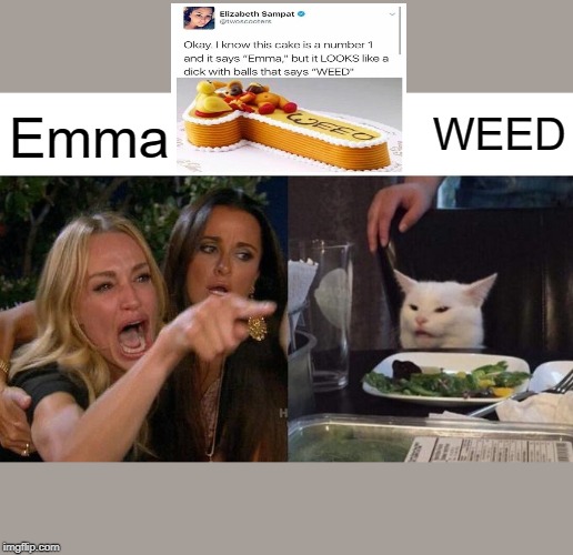 Woman Yelling At Cat | Emma; WEED | image tagged in memes,woman yelling at cat | made w/ Imgflip meme maker