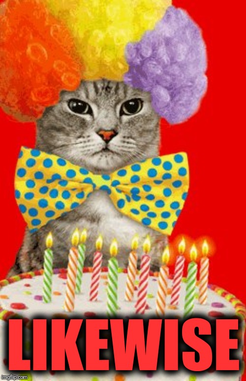 Birthday cat | LIKEWISE | image tagged in birthday cat | made w/ Imgflip meme maker