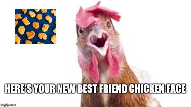 here's your new best friend? | HERE'S YOUR NEW BEST FRIEND CHICKEN FACE | image tagged in funny memes | made w/ Imgflip meme maker