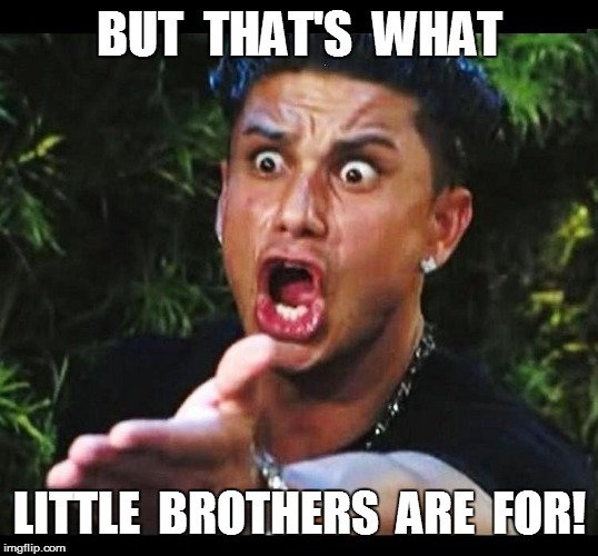 BUT  THAT'S  WHAT LITTLE  BROTHERS  ARE  FOR! | made w/ Imgflip meme maker