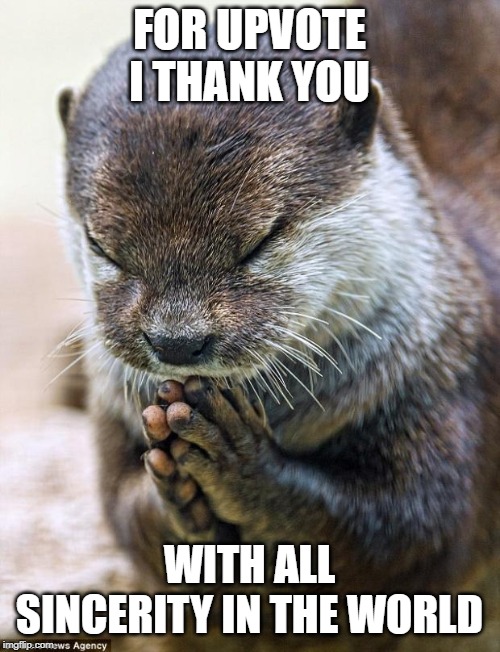 Thank you Lord Otter | FOR UPVOTE I THANK YOU WITH ALL SINCERITY IN THE WORLD | image tagged in thank you lord otter | made w/ Imgflip meme maker