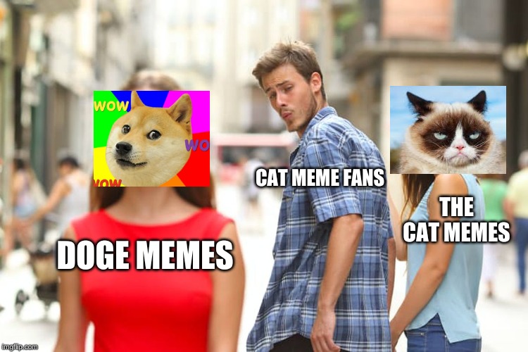 Distracted Boyfriend Meme | CAT MEME FANS; THE CAT MEMES; DOGE MEMES | image tagged in memes,distracted boyfriend | made w/ Imgflip meme maker