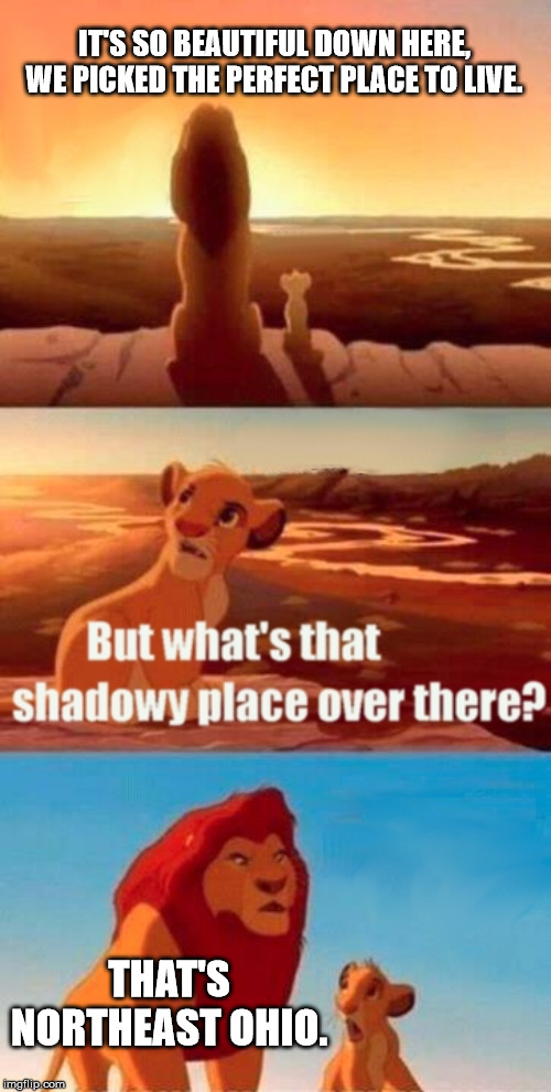 Simba Shadowy Place Meme | IT'S SO BEAUTIFUL DOWN HERE, WE PICKED THE PERFECT PLACE TO LIVE. THAT'S NORTHEAST OHIO. | image tagged in memes,simba shadowy place | made w/ Imgflip meme maker