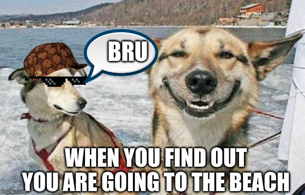Original Stoner Dog | BRU; WHEN YOU FIND OUT YOU ARE GOING TO THE BEACH | image tagged in memes,original stoner dog | made w/ Imgflip meme maker
