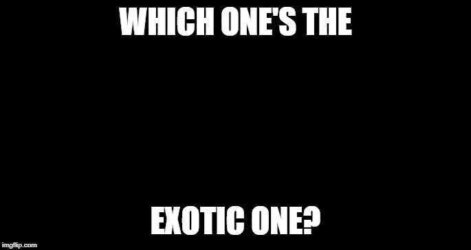 Shrugging kid | WHICH ONE'S THE EXOTIC ONE? | image tagged in shrugging kid | made w/ Imgflip meme maker