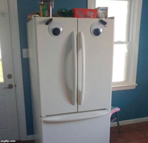 Fridge Face | image tagged in fridge face | made w/ Imgflip meme maker