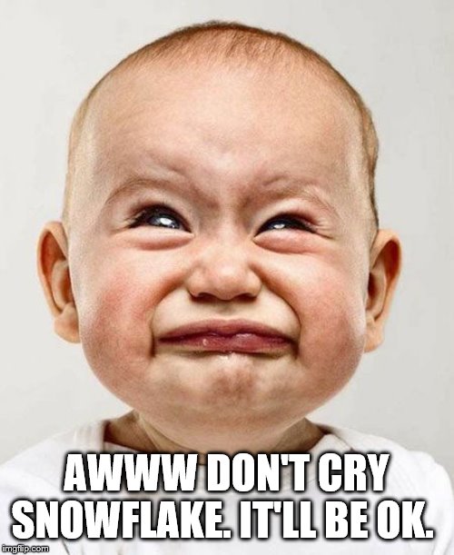 CryingBaby | AWWW DON'T CRY SNOWFLAKE. IT'LL BE OK. | image tagged in cryingbaby | made w/ Imgflip meme maker