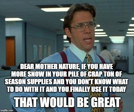 That Would Be Great Meme | DEAR MOTHER NATURE, IF YOU HAVE MORE SNOW IN YOUR PILE OF CRAP TON OF SEASON SUPPLIES AND YOU DON'T KNOW WHAT TO DO WITH IT AND YOU FINALLY USE IT TODAY; THAT WOULD BE GREAT | image tagged in memes,that would be great | made w/ Imgflip meme maker