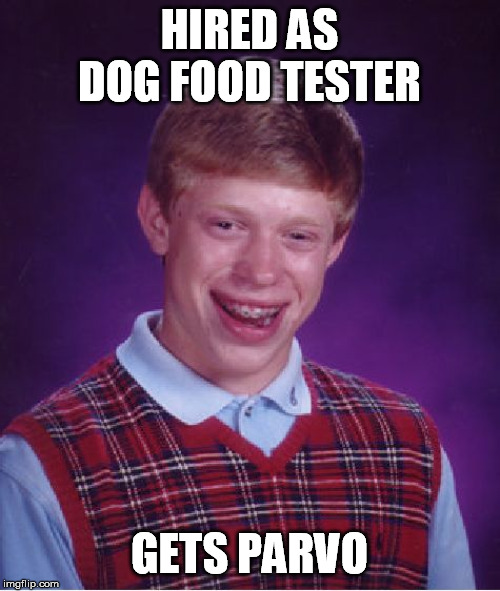 Bad Luck Brian Meme | HIRED AS DOG FOOD TESTER GETS PARVO | image tagged in memes,bad luck brian | made w/ Imgflip meme maker