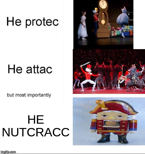he protecc | HE NUTCRACC | image tagged in he protecc | made w/ Imgflip meme maker