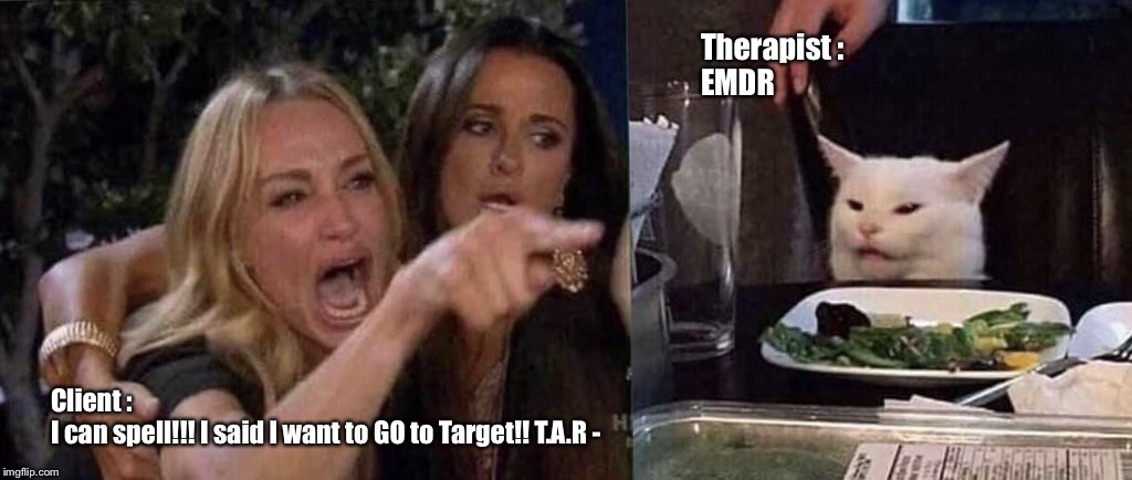 woman yelling at cat | Therapist : 
EMDR; Client :
I can spell!!! I said I want to GO to Target!! T.A.R - | image tagged in woman yelling at cat | made w/ Imgflip meme maker