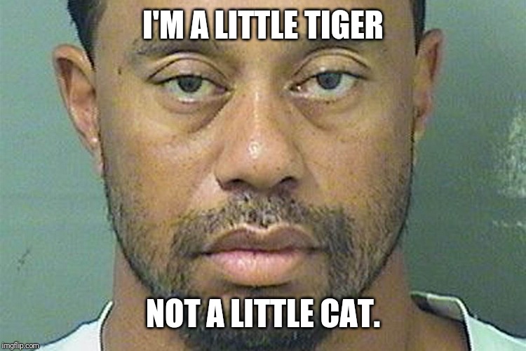 Tiger Woods mugshot | I'M A LITTLE TIGER; NOT A LITTLE CAT. | image tagged in tiger woods mugshot | made w/ Imgflip meme maker