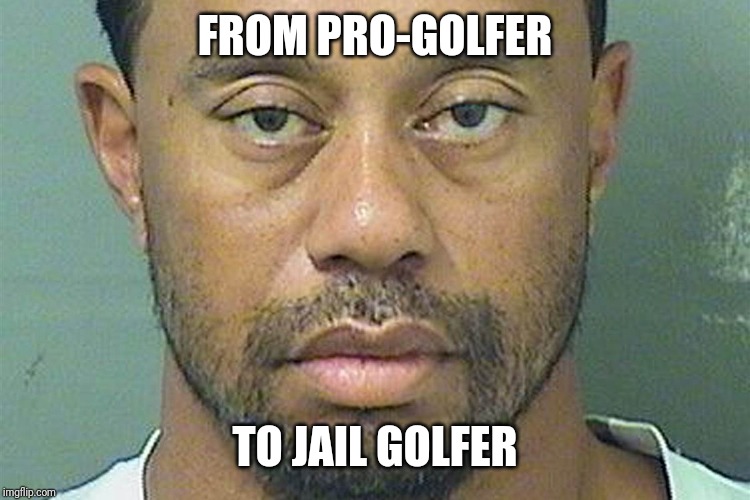 Tiger Woods mugshot | FROM PRO-GOLFER; TO JAIL GOLFER | image tagged in tiger woods mugshot | made w/ Imgflip meme maker