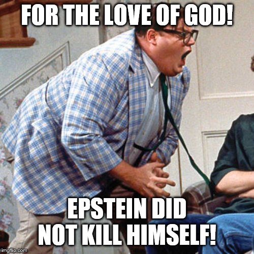 Chris Farley For the love of god | FOR THE LOVE OF GOD! EPSTEIN DID NOT KILL HIMSELF! | image tagged in chris farley for the love of god | made w/ Imgflip meme maker