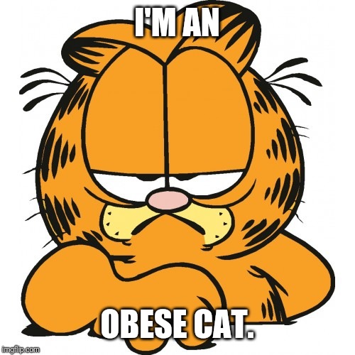 Garfield | I'M AN; OBESE CAT. | image tagged in garfield | made w/ Imgflip meme maker