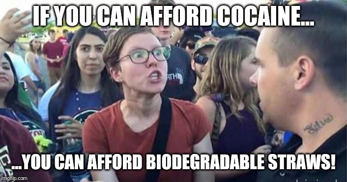 Did you just assume my gender | IF YOU CAN AFFORD COCAINE... ...YOU CAN AFFORD BIODEGRADABLE STRAWS! | image tagged in did you just assume my gender | made w/ Imgflip meme maker