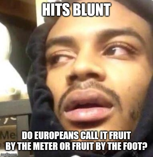 Hits Blunt | HITS BLUNT; DO EUROPEANS CALL IT FRUIT BY THE METER OR FRUIT BY THE FOOT? | image tagged in hits blunt | made w/ Imgflip meme maker