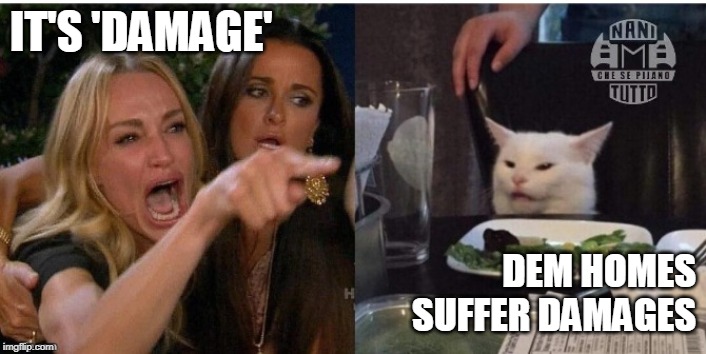 white cat table | IT'S 'DAMAGE'; DEM HOMES
SUFFER DAMAGES | image tagged in white cat table | made w/ Imgflip meme maker