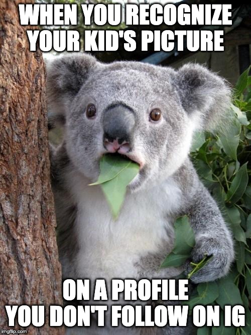 Surprised Koala | WHEN YOU RECOGNIZE YOUR KID'S PICTURE; ON A PROFILE YOU DON'T FOLLOW ON IG | image tagged in memes,surprised koala | made w/ Imgflip meme maker