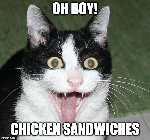 excited cat | OH BOY! CHICKEN SANDWICHES | image tagged in excited cat | made w/ Imgflip meme maker