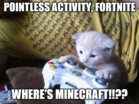 cute kitty on xbox | POINTLESS ACTIVITY, FORTNITE; WHERE'S MINECRAFT!!?? | image tagged in cute kitty on xbox | made w/ Imgflip meme maker