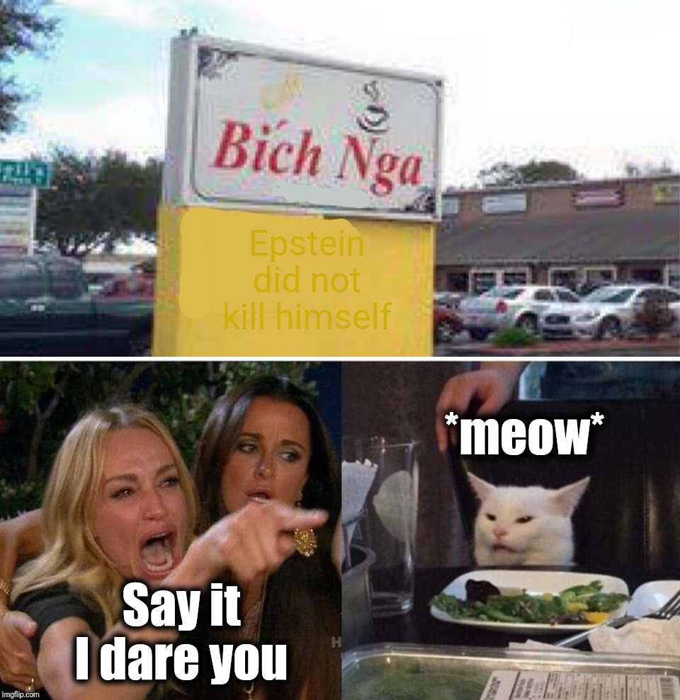 Epstein did not kill himself; *meow*; Say it
I dare you | image tagged in memes,woman yelling at cat,bch nga | made w/ Imgflip meme maker