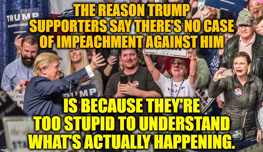The Factually Illiterate | THE REASON TRUMP SUPPORTERS SAY THERE'S NO CASE OF IMPEACHMENT AGAINST HIM; IS BECAUSE THEY'RE TOO STUPID TO UNDERSTAND WHAT'S ACTUALLY HAPPENING. | image tagged in donald trump,trump supporters,impeach trump,treason,traitor,uninforned | made w/ Imgflip meme maker