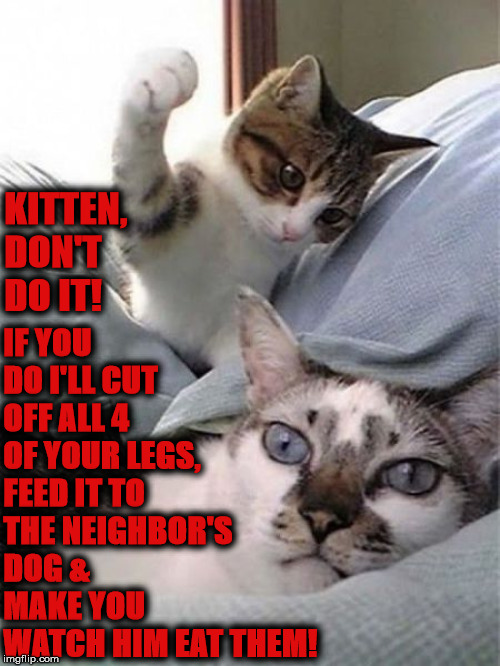 DON'T DO IT | IF YOU DO I'LL CUT OFF ALL 4 OF YOUR LEGS, FEED IT TO THE NEIGHBOR'S DOG & MAKE YOU WATCH HIM EAT THEM! KITTEN, DON'T DO IT! | image tagged in don't do it | made w/ Imgflip meme maker