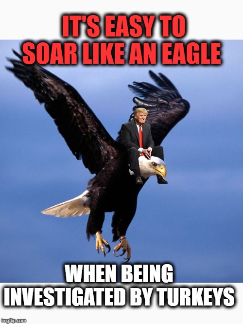 Trump triumphs while Schiff sinks | IT'S EASY TO SOAR LIKE AN EAGLE; WHEN BEING INVESTIGATED BY TURKEYS | image tagged in politics,political,political meme,politicians,politics lol,political humor | made w/ Imgflip meme maker