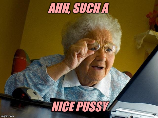 Grandma Finds The Internet Meme | AHH, SUCH A NICE PUSSY | image tagged in memes,grandma finds the internet | made w/ Imgflip meme maker