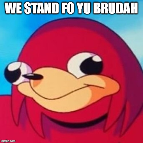 Ugandan Knuckles | WE STAND FO YU BRUDAH | image tagged in ugandan knuckles | made w/ Imgflip meme maker