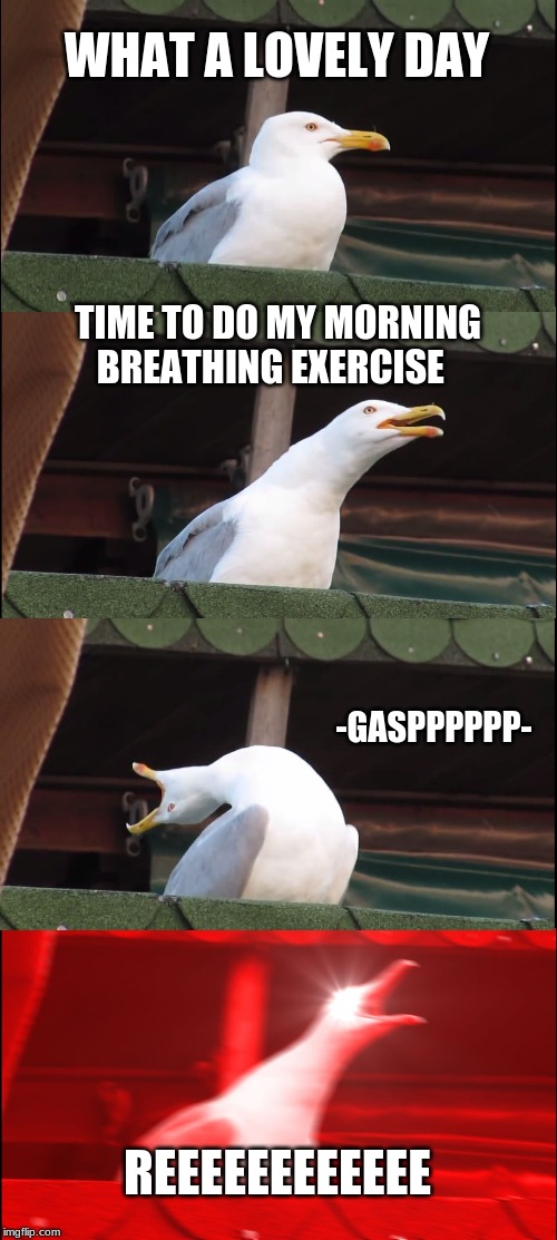 Inhaling Seagull | WHAT A LOVELY DAY; TIME TO DO MY MORNING BREATHING EXERCISE; -GASPPPPPP-; REEEEEEEEEEEE | image tagged in memes,inhaling seagull | made w/ Imgflip meme maker