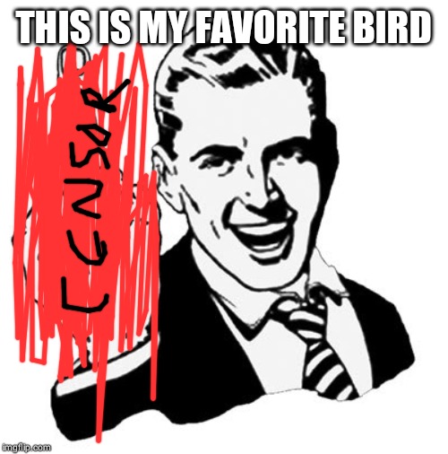 1950s Middle Finger | THIS IS MY FAVORITE BIRD | image tagged in memes,1950s middle finger | made w/ Imgflip meme maker