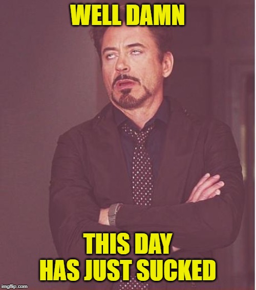 Face You Make Robert Downey Jr Meme | WELL DAMN THIS DAY HAS JUST SUCKED | image tagged in memes,face you make robert downey jr | made w/ Imgflip meme maker