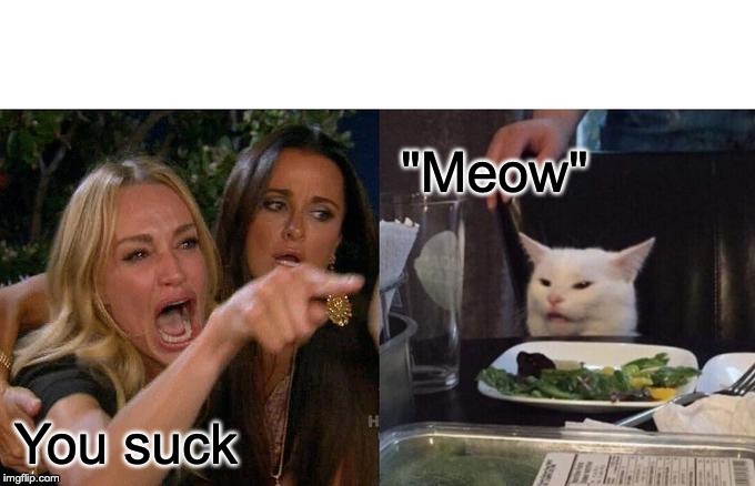Woman Yelling At Cat Meme | "Meow"; You suck | image tagged in memes,woman yelling at cat | made w/ Imgflip meme maker