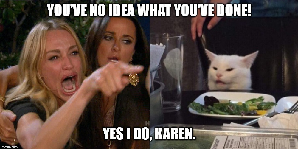 Woman yelling at cat | YOU'VE NO IDEA WHAT YOU'VE DONE! YES I DO, KAREN. | image tagged in woman yelling at cat | made w/ Imgflip meme maker