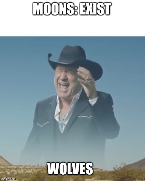 Screaming cowboy |  MOONS: EXIST; WOLVES | image tagged in screaming cowboy | made w/ Imgflip meme maker