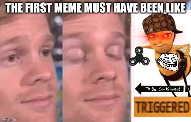 the first meme | THE FIRST MEME MUST HAVE BEEN LIKE | image tagged in the first person to,memes,bee movie,funny | made w/ Imgflip meme maker