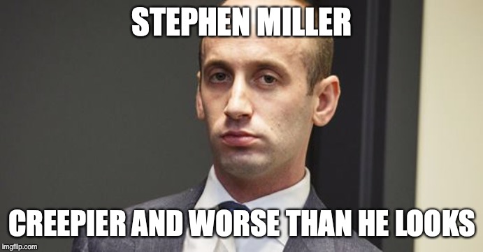 Steven Miller | STEPHEN MILLER; CREEPIER AND WORSE THAN HE LOOKS | image tagged in steven miller | made w/ Imgflip meme maker