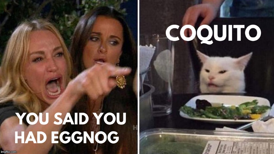 Eggnog | image tagged in eggnog,humor,coquito,holidays,drink | made w/ Imgflip meme maker
