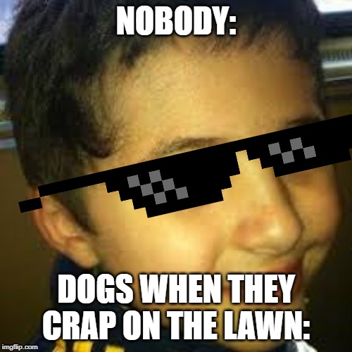 yea boi its time | NOBODY:; DOGS WHEN THEY CRAP ON THE LAWN: | image tagged in yea boi its time | made w/ Imgflip meme maker